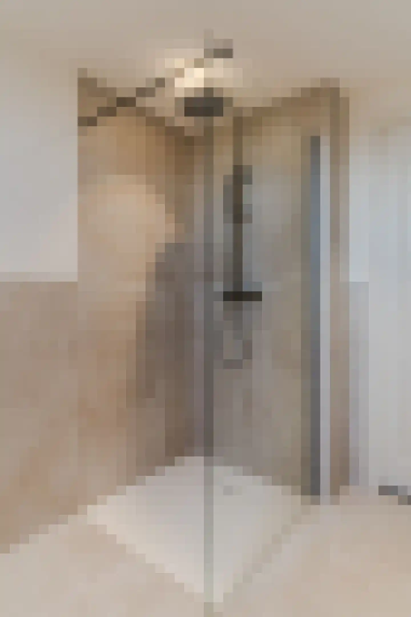 Ambtmanstraat 9 e Tiel thumbnail 32