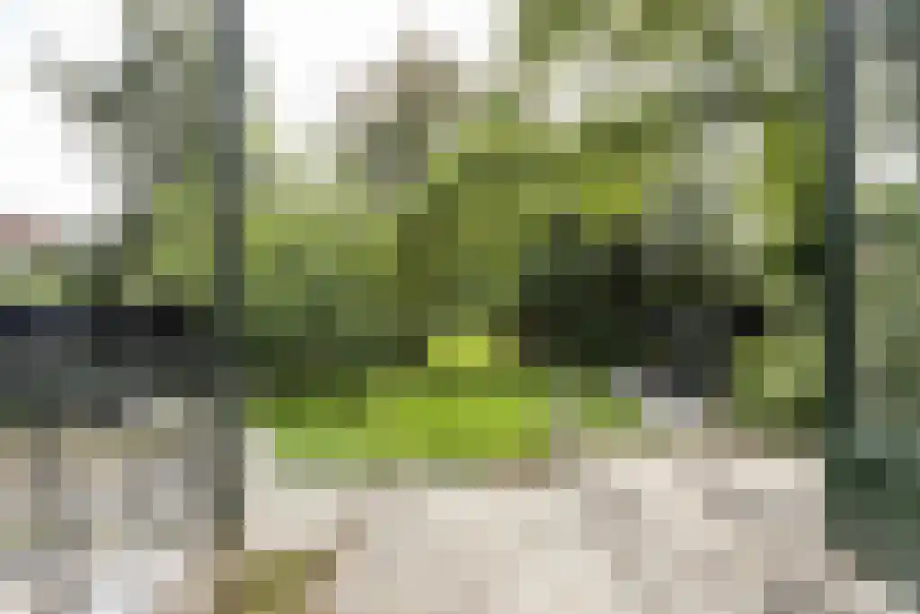 Ambtmanstraat 9 e Tiel thumbnail 33