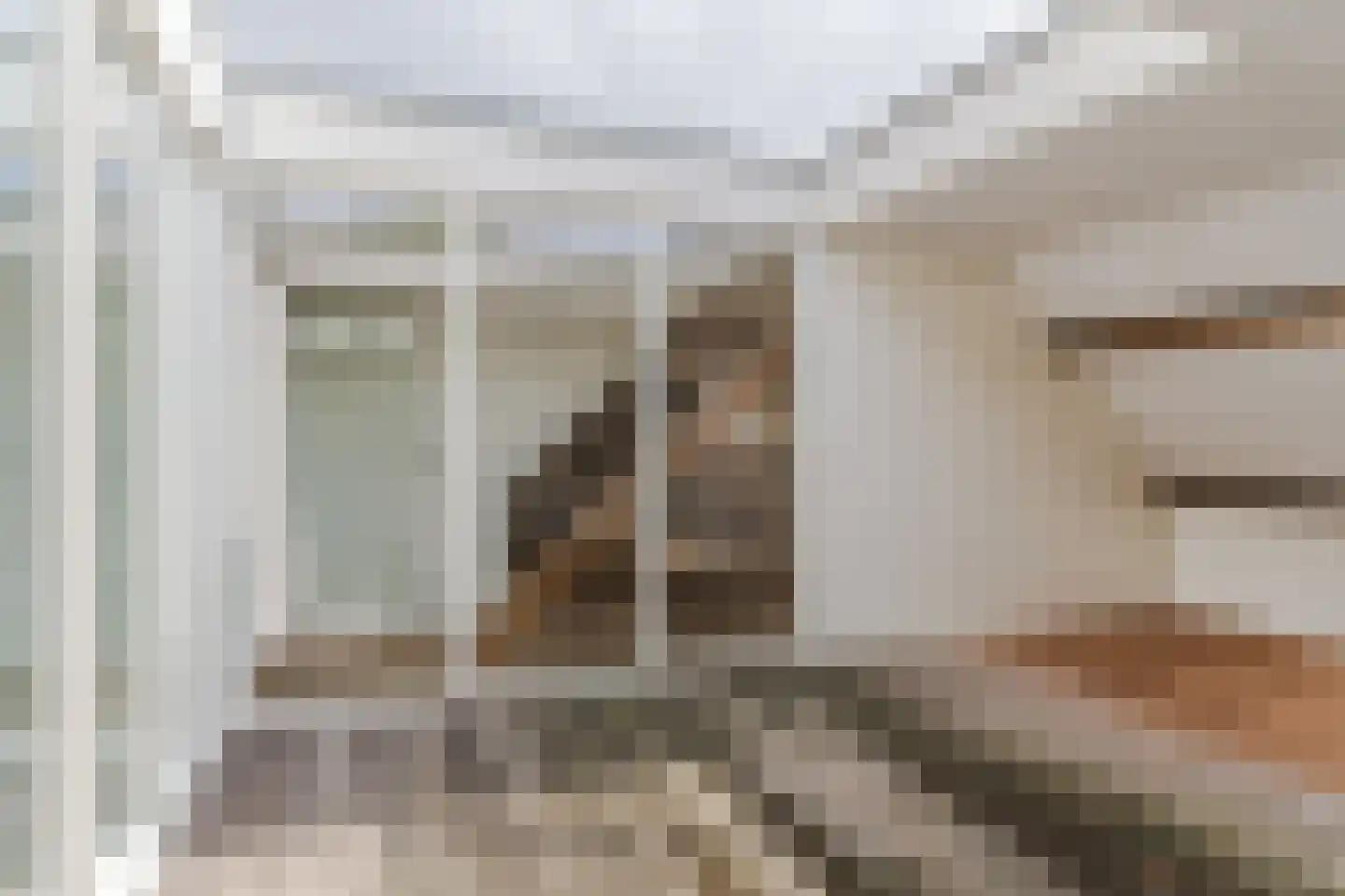 Ambtmanstraat 9 e Tiel thumbnail 42