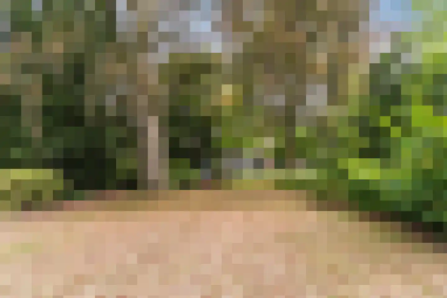 Ambtmanstraat 9 e Tiel thumbnail 53