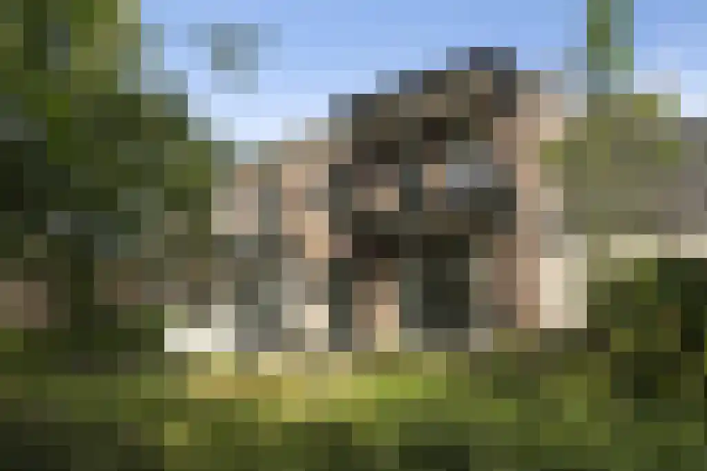 Ambtmanstraat 9 e Tiel thumbnail 6