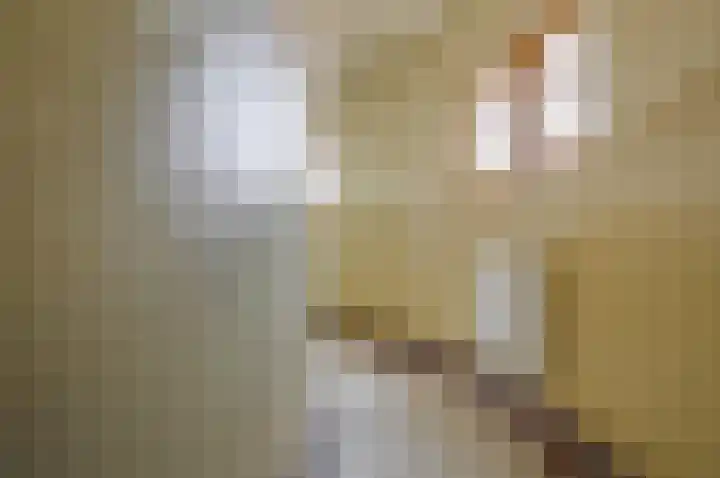 Ambtshuisplein 1 Druten thumbnail 22