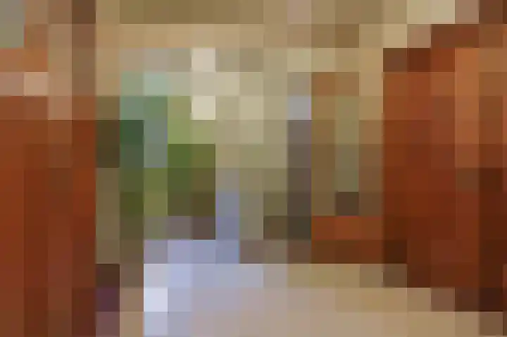 Ambtshuisplein 1 Druten thumbnail 30
