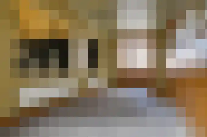 Ambtshuisplein 1 Druten thumbnail 33