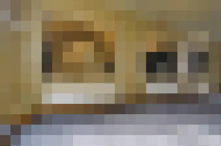 Ambtshuisplein 1 Druten thumbnail 34