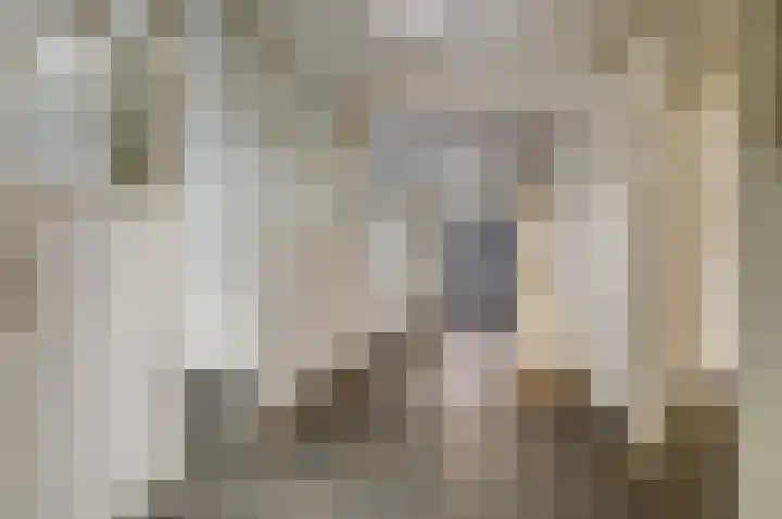 Ambtshuisplein 1 Druten thumbnail 41