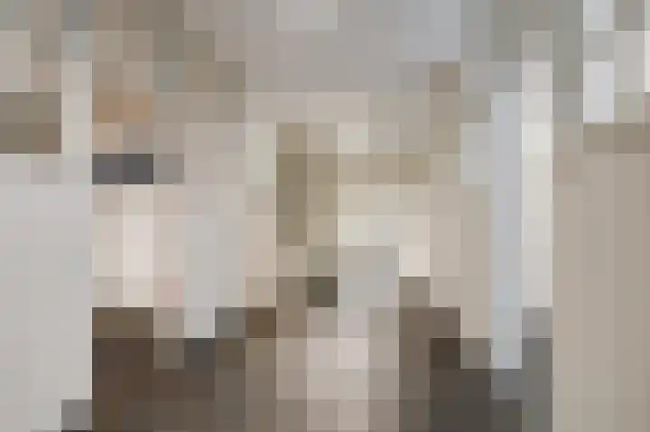 Ambtshuisplein 1 Druten thumbnail 46