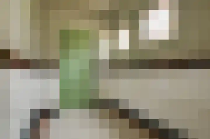 Ambtshuisplein 1 Druten thumbnail 7