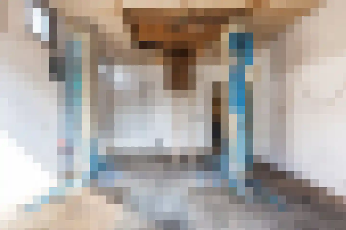 Ambtstraat 143 Almelo thumbnail 33