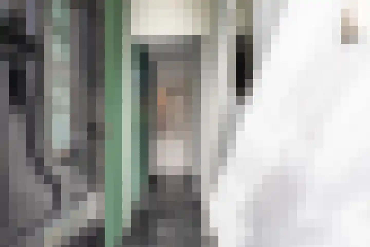 Ambtstraat 17 Almelo thumbnail 5