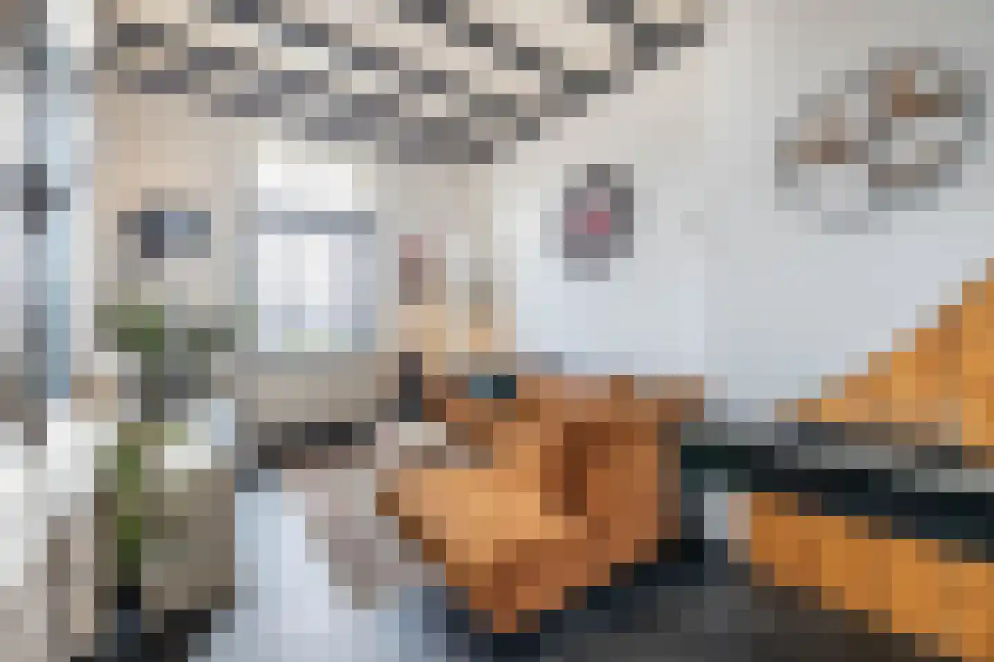 Ambtstraat 17 Almelo thumbnail 6