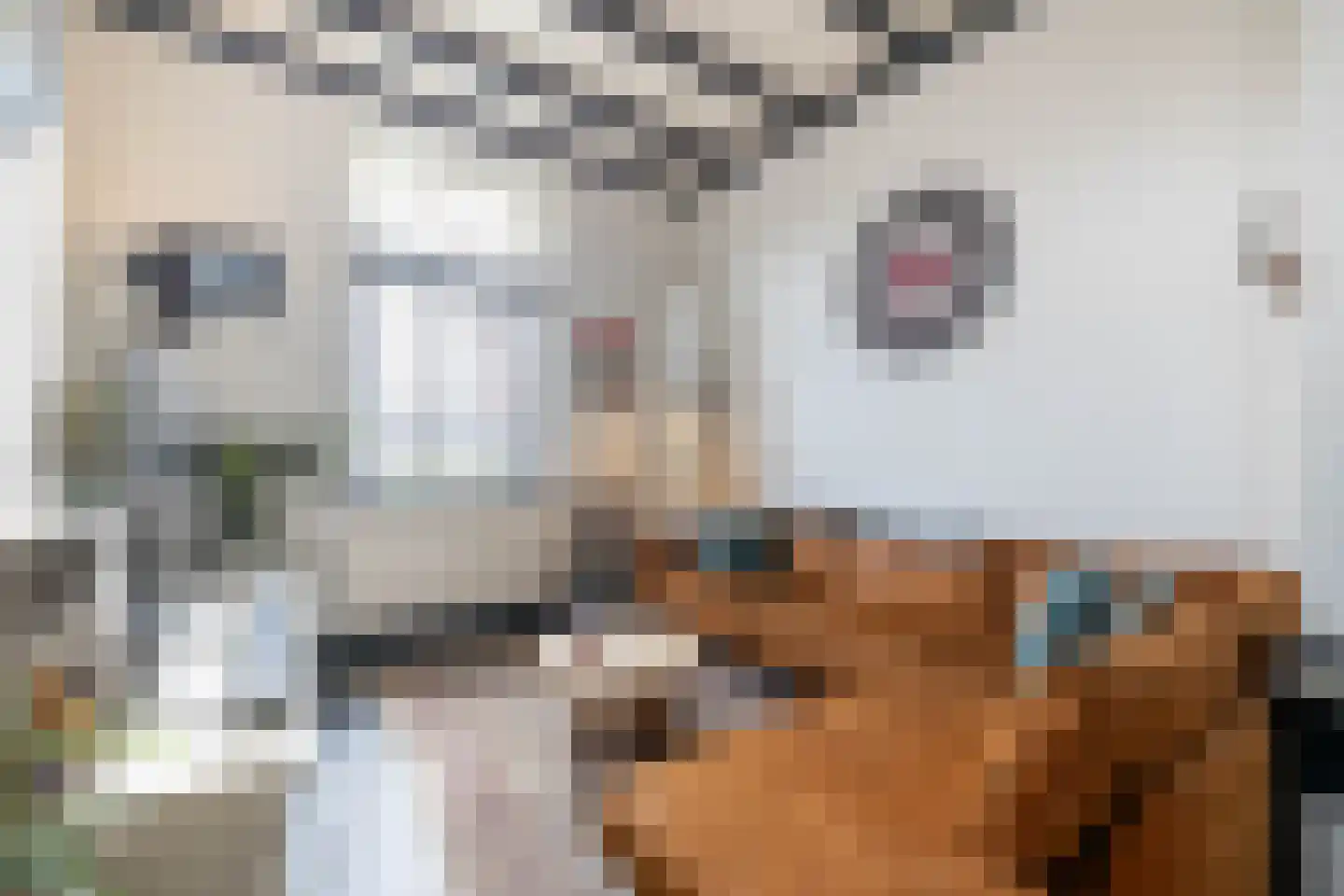 Ambtstraat 17 Almelo thumbnail 7