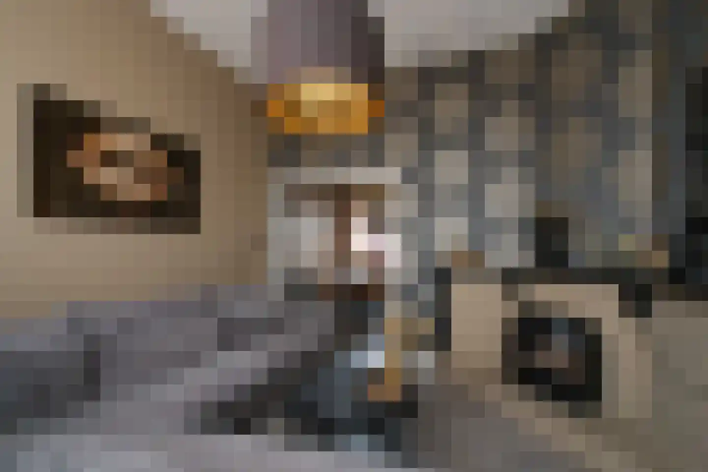 Ambtstraat 61 Almelo thumbnail 5
