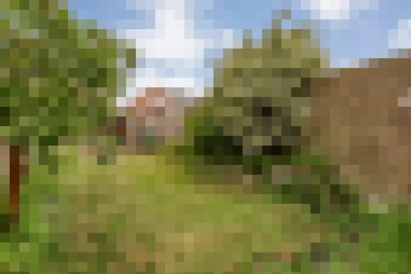 Ambtstraat 79 Almelo thumbnail 37