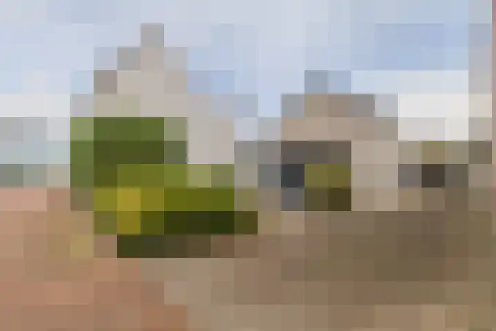 Ambyerstraat Noord 180 in Maastricht