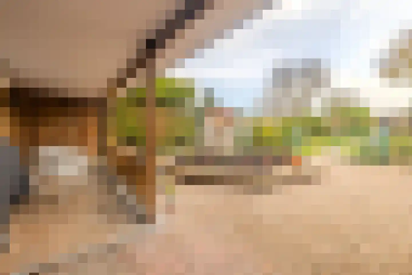Ambyerstraat Noord 180 Maastricht thumbnail 30