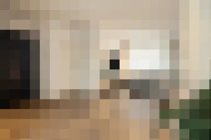 Ambyerstraat Zuid 54 Maastricht thumbnail 9