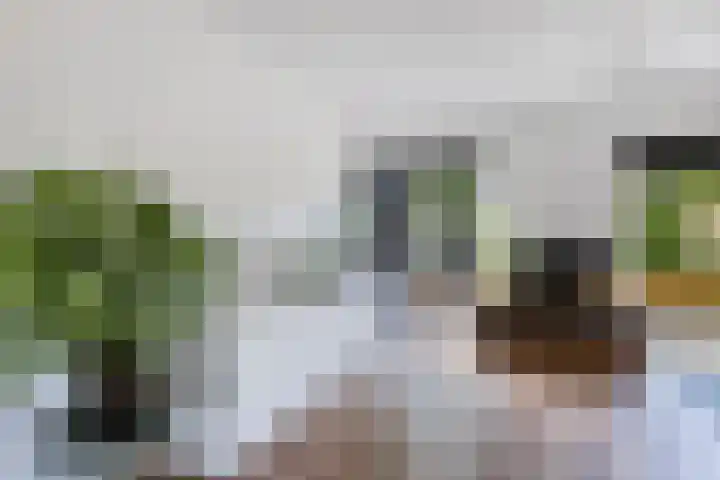 Ame 3 Drachten thumbnail 14