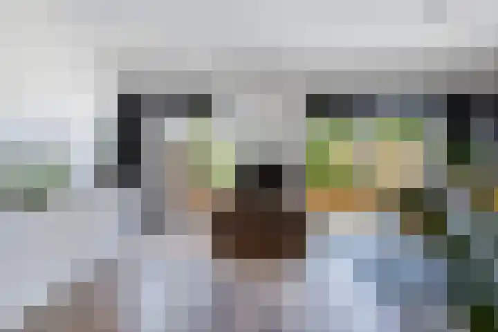 Ame 3 Drachten thumbnail 15