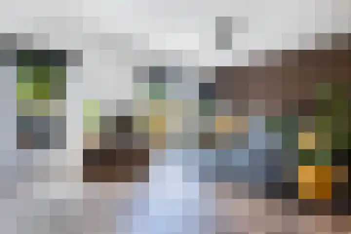 Ame 3 Drachten thumbnail 16