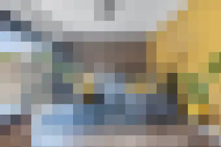 Ame 3 Drachten thumbnail 17