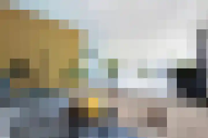 Ame 3 Drachten thumbnail 18