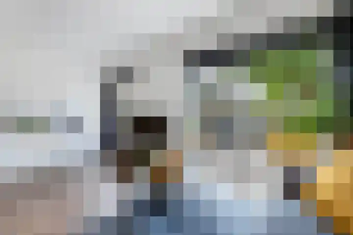 Ame 3 Drachten thumbnail 19