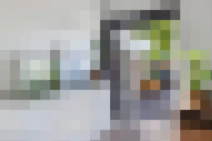 Ame 3 Drachten thumbnail 20