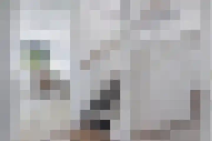 Ame 3 Drachten thumbnail 27