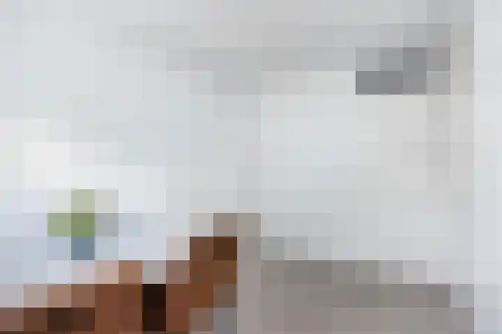 Ame 3 Drachten thumbnail 28