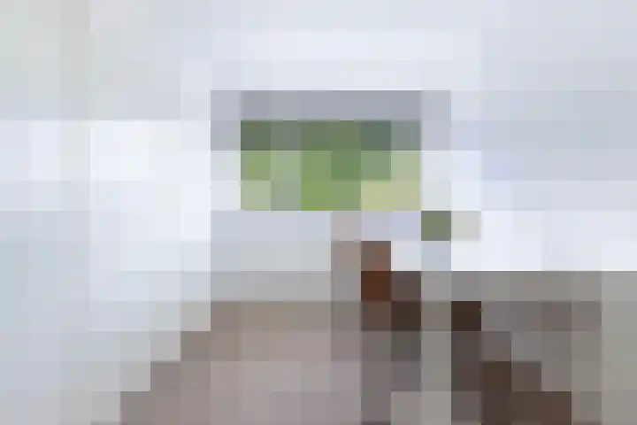 Ame 3 Drachten thumbnail 29
