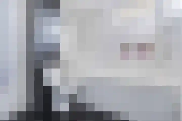 Ame 3 Drachten thumbnail 33