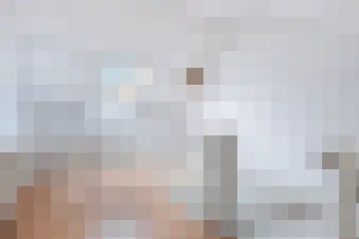 Ame 3 Drachten thumbnail 36