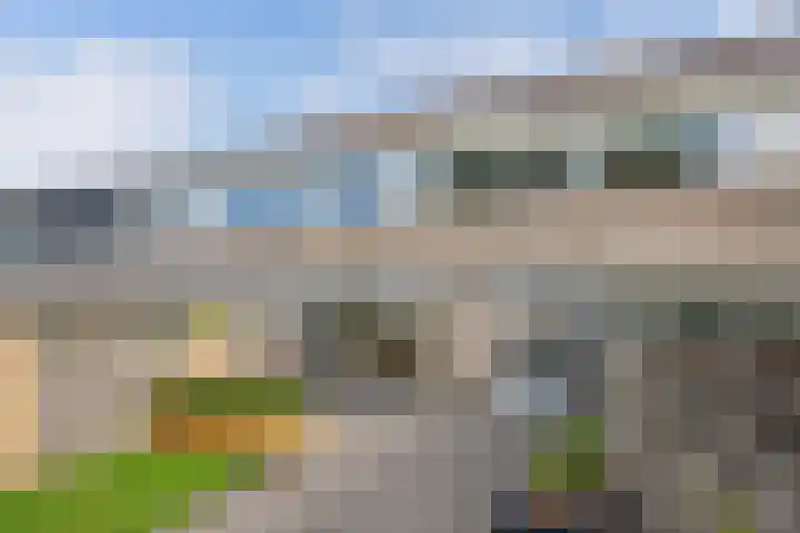 Ame 3 Drachten thumbnail 39