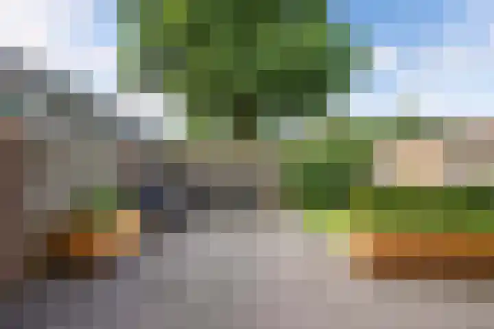 Ame 3 Drachten thumbnail 43