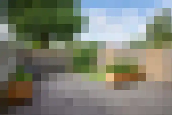 Ame 3 Drachten thumbnail 45