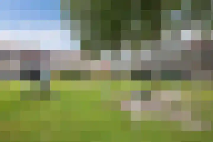 Ame 3 Drachten thumbnail 46