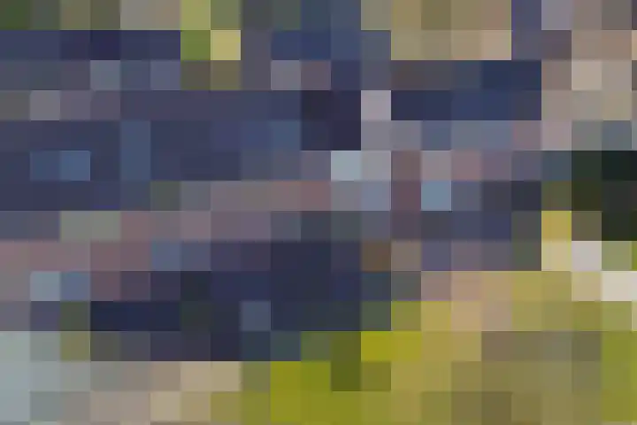 Ame 32 Drachten thumbnail 42