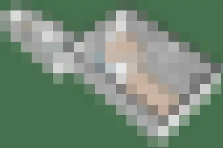 Ame 32 Drachten thumbnail 48