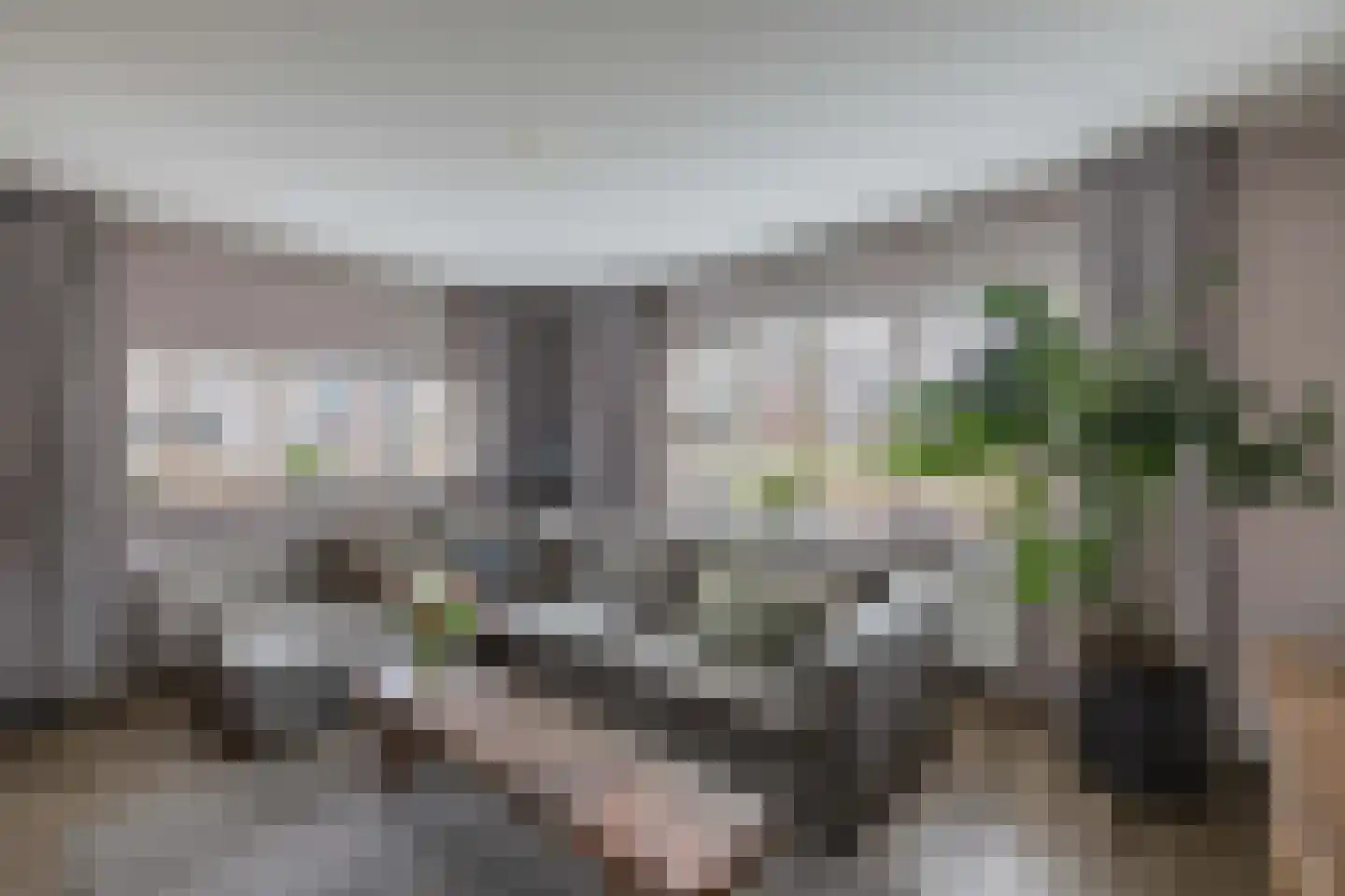 Ame 63 Drachten thumbnail 10