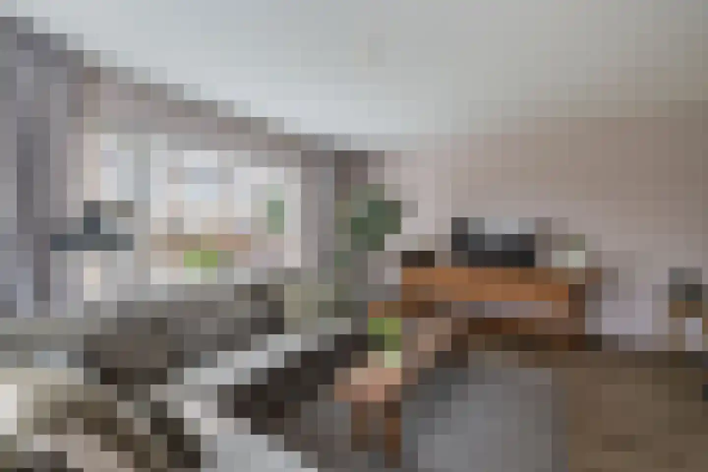 Ame 63 Drachten thumbnail 11