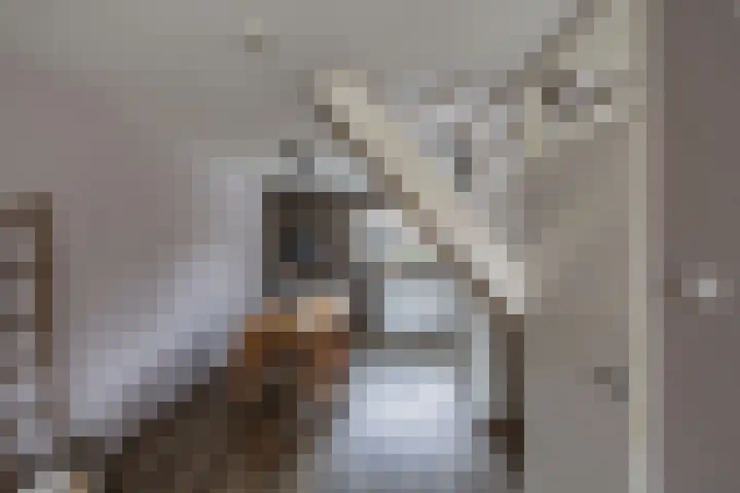 Ame 63 Drachten thumbnail 13