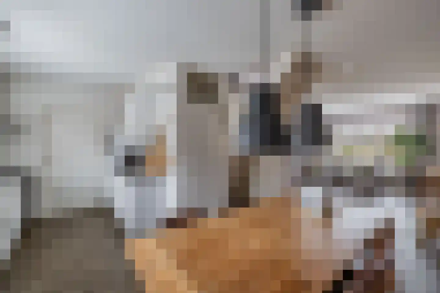 Ame 63 Drachten thumbnail 14