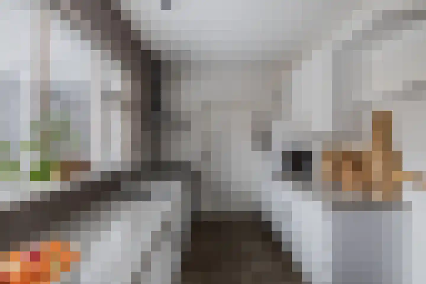 Ame 63 Drachten thumbnail 16