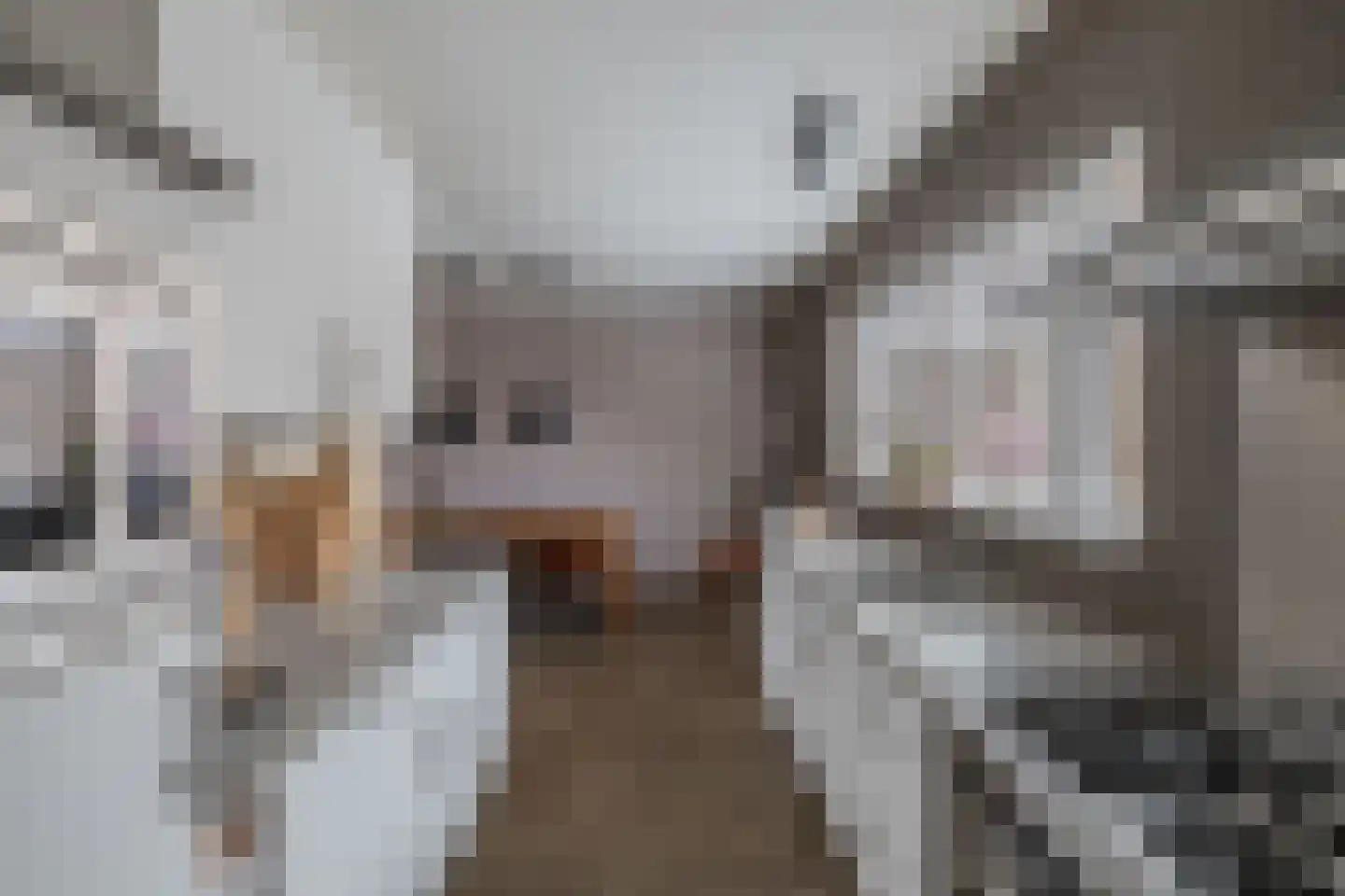 Ame 63 Drachten thumbnail 17
