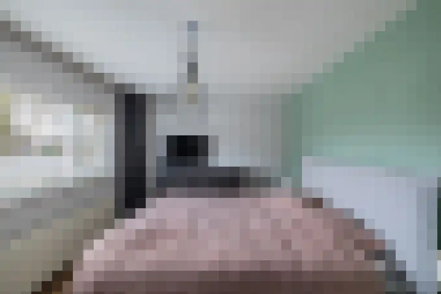 Ame 63 Drachten thumbnail 23