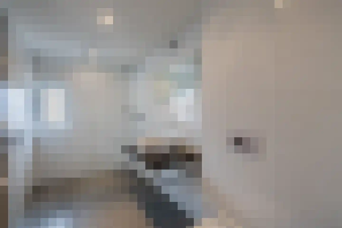 Ame 63 Drachten thumbnail 24