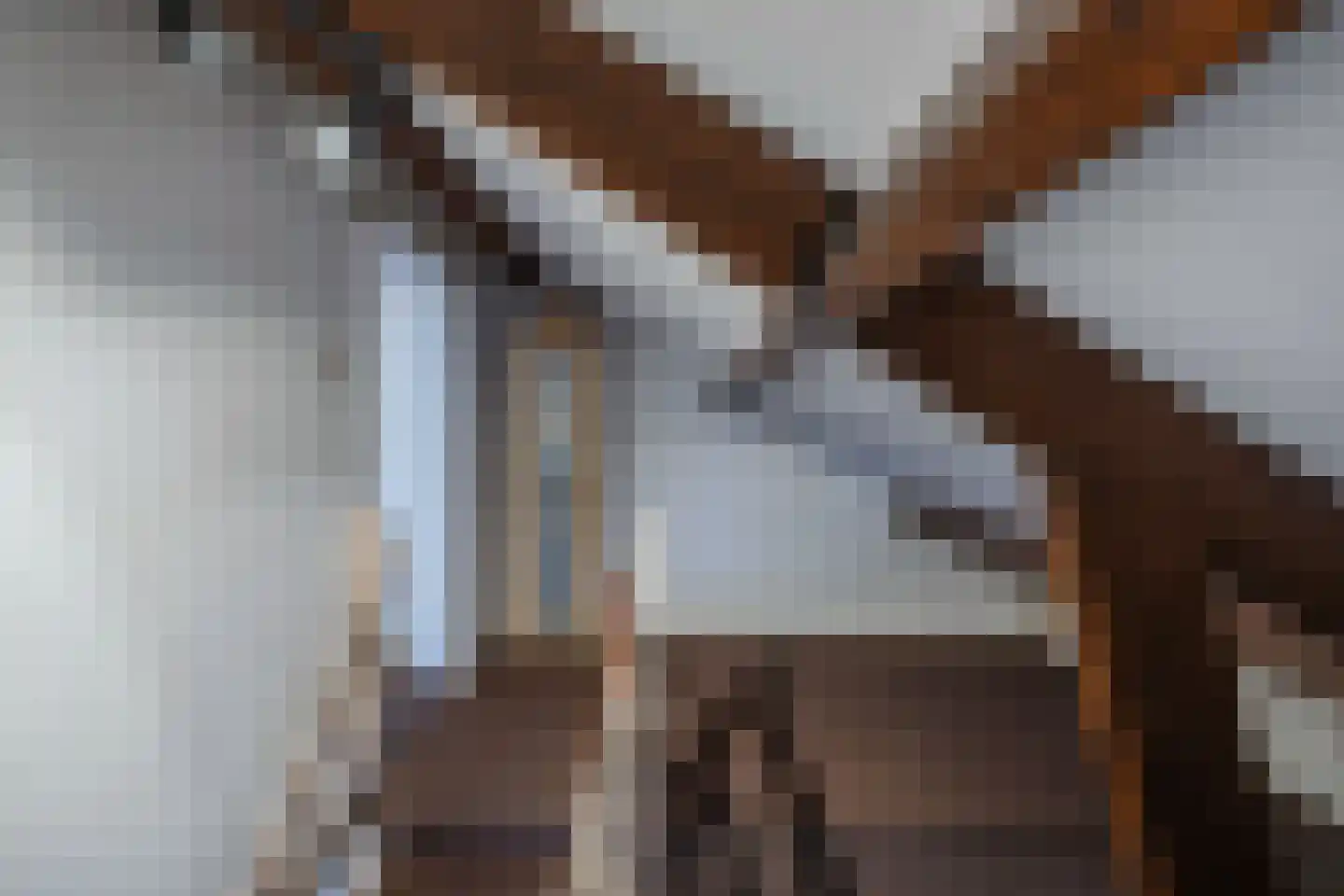 Ame 63 Drachten thumbnail 29