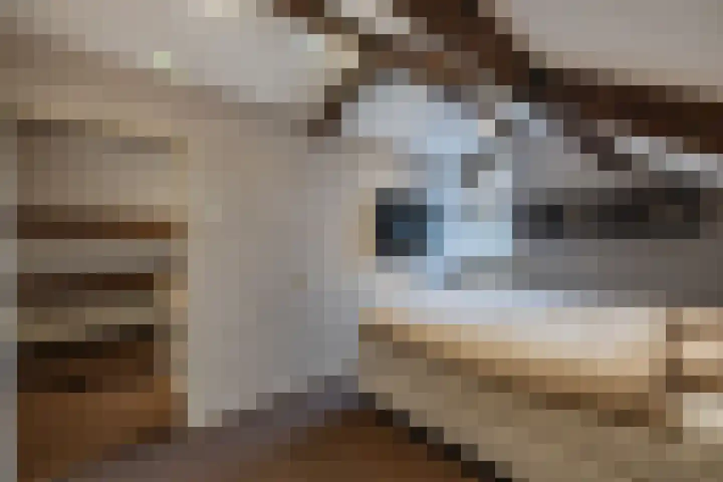 Ame 63 Drachten thumbnail 30