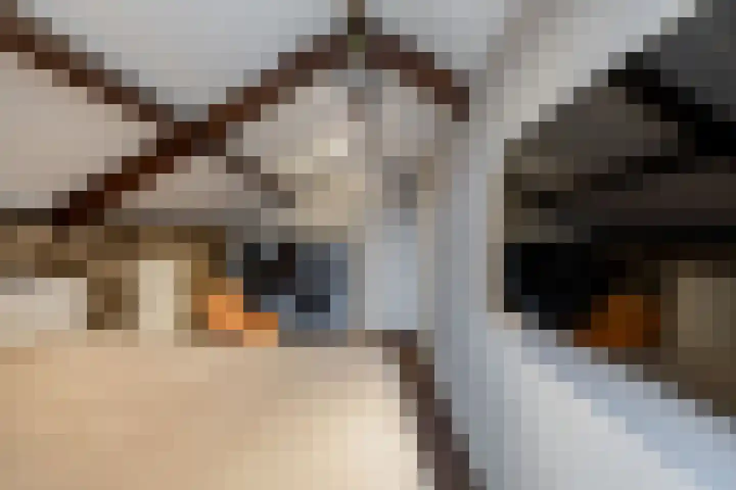 Ame 63 Drachten thumbnail 31